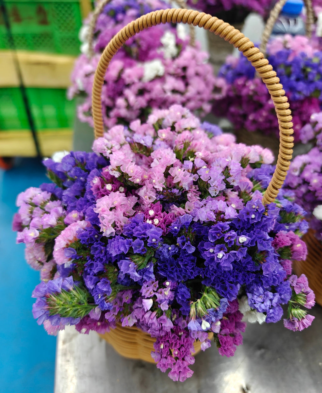 Forget-Me-Not