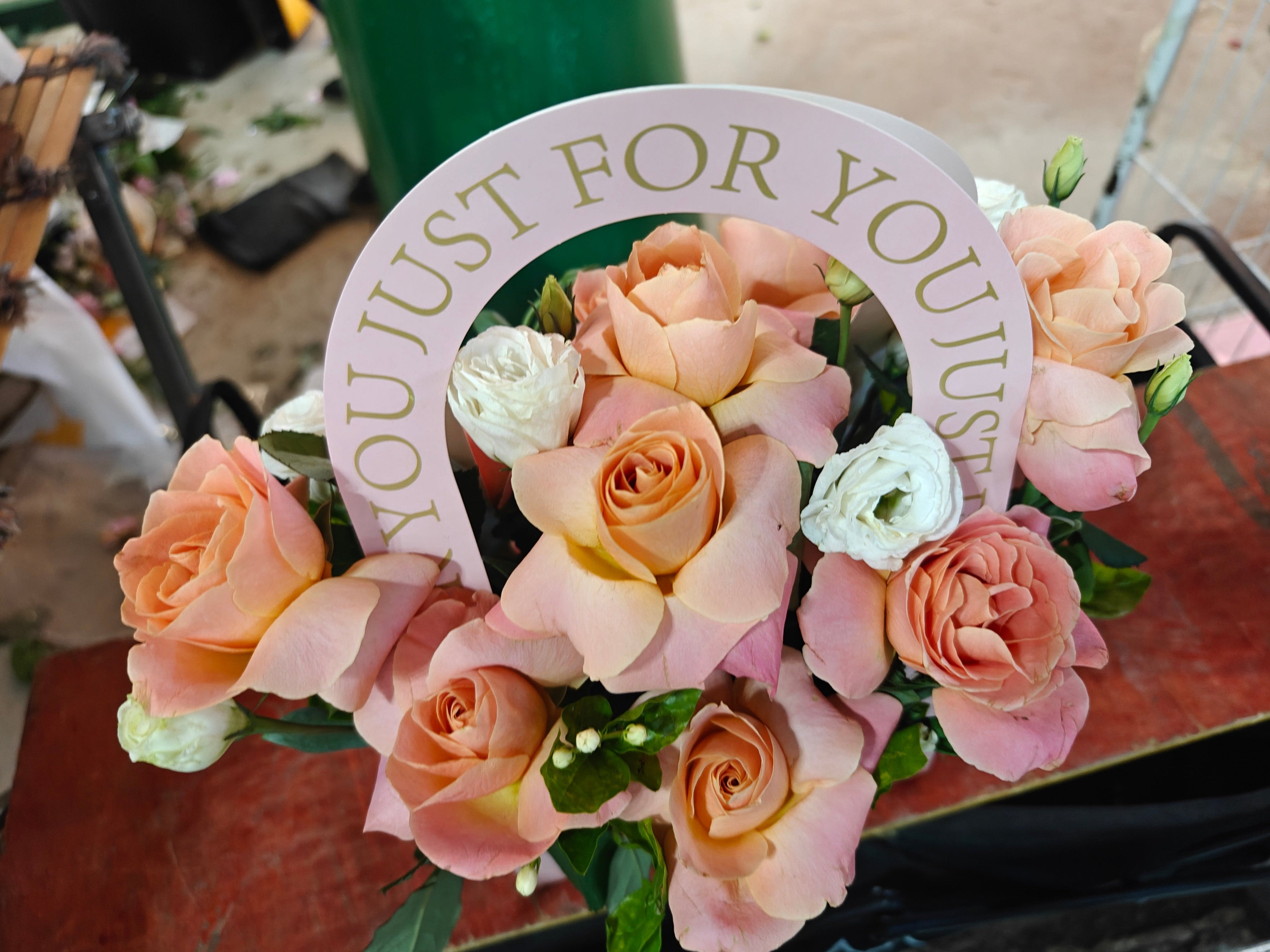 Miss Piggy Rose