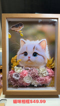 White cat