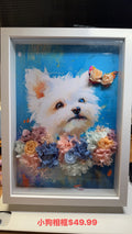 Cat frame