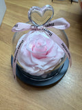 Pink rose lovebox