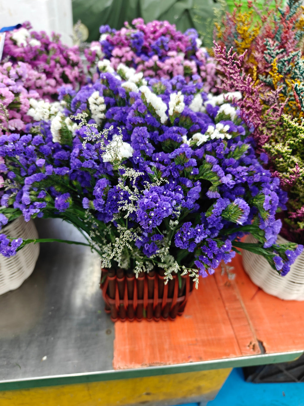 Forget-Me-Not